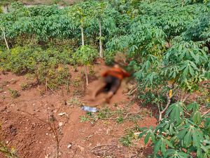 Mayat Wanita Tanpa Identitas Tergeletak di Pinggir Tol Cinere Depok