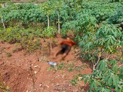 Mayat Wanita Tanpa Identitas Tergeletak di Pinggir Tol Cinere Depok