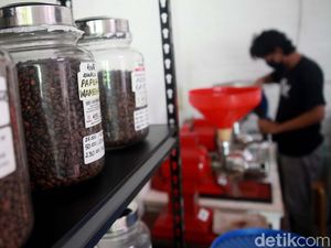Permintaan Biji Kopi Meningkat Saat Pandemi
