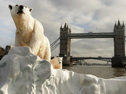 Ciri Spesies Hewan yang Paling Rentan Punah Akibat Perubahan Iklim, Apa Saja?