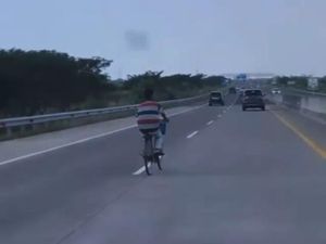 Viral Pesepeda Masuk Tol Pejagan, PPTR: Sudah Diamankan! Viral Pesepeda Masuk Tol Pejagan, PPTR: Sudah Diamankan!