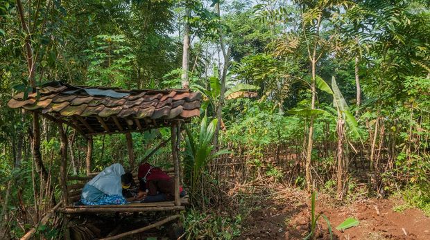 Sejumlah siswa SDN 1 Inten Jaya mengerjakan tugas melalui gawainya di Kampung Lebak Limus, Lebak, Banten, Senin (20/7/2020). Sejumlah siswa yang tinggal di daerah pelosok tersebut kesulitan dalam mengikuti kegiatan belajar mengajar (KBM) secara daring dan tepaksa menempuh perjalanan hingga satu kilometer dari kediamannya menuju ke dataran yang lebih tinggi agar mendapatkan jaringan internet guna mengerjakan tugas sekolah melalui gawai yang nantinya dikirim melalui aplikasi percakapan WhatssApp. ANTARA FOTO/Muhammad Bagus Khoirunas/agr/wsj.