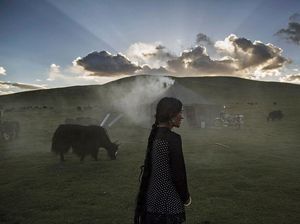 Melihat Kehidupan Tibet yang Sering Disebut Atap Dunia