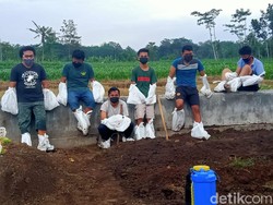 Fakta Viralnya Video Pemakaman Pasien COVID-19 di Blitar Tanpa APD Layak