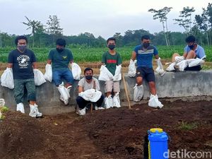 Fakta Viralnya Video Pemakaman Pasien COVID-19 di Blitar Tanpa APD Layak Fakta Viralnya Video Pemakaman Pasien COVID-19 di Blitar Tanpa APD Layak