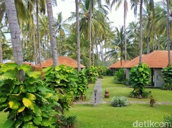 Okupansi Hotel di Banyuwangi Meningkat, Bahkan Ada Yang Penuh