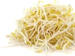 Manfaat Toge untuk Kesuburan, Mitos atau Fakta? Begini Penjelasannya