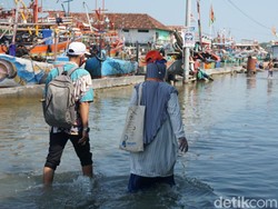 Perjuangan Petugas Coklit Pilkada Jalan Kaki Terabas Rob di Demak
