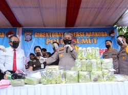 Musnahkan Barang Bukti, Polda Sumut Bakar Ganja-Rebus 51 Kg Sabu di Medan