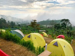 Tempat Camping Asyik di Kaki Gunung Sumbing
