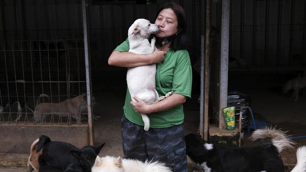 Ini Susana Somali, Si Pelindung Ribuan Anjing Terlantar di Ibu Kota