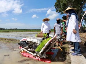 Bupati Anas Dorong Petani Manfaatkan Alsintan untuk Optimalkan Hasil Pertanian Bupati Anas Dorong Petani Manfaatkan Alsintan untuk Optimalkan Hasil Pertanian