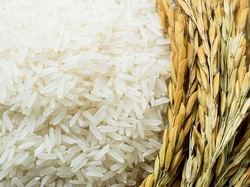 Cari Beras Berkualitas buat Keluarga? Cek e-Catalogue Transmart