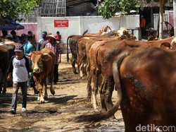 Pasar Hewan Purwakarta Banjir Pembeli, Banyak yang Abai Protokol COVID-19