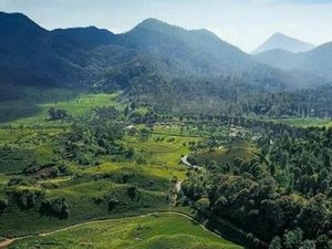 7 Gunung di Jawa Barat untuk Pendaki Pemula, Trek Landai-Panorama Cantik 7 Gunung di Jawa Barat untuk Pendaki Pemula, Trek Landai-Panorama Cantik