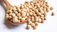 7 Makanan yang Bisa Memengaruhi Hormon Estrogen, Ada Tahu hingga Susu