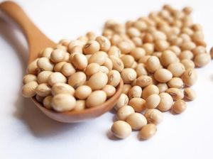 7 Makanan yang Bisa Memengaruhi Hormon Estrogen, Ada Tahu hingga Susu