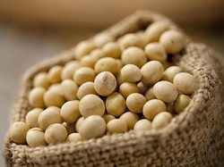 Kaya Nutrisi! 5 Makanan Ini Diklaim Tersehat di Dunia