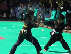 8 Teknik Dasar Pencak Silat, Olahraga Bela Diri Asli Indonesia
