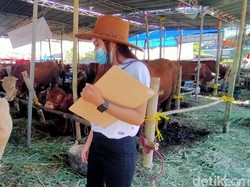 Suka Duka SPG Hewan Kurban di Surabaya