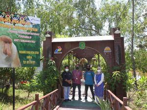 Wisata Bekantan Ekoriparian Sungai Hitam di Kaltim Kembali Dibuka