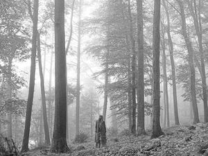 Taylor Swift hingga BCL, 5 Video Musik Pilihan Minggu Ini