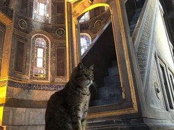 Sempat Sakit, Gli Bikin Pengunjung Hagia Sophia Cemas