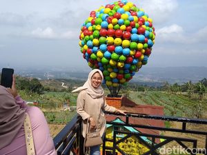 Puas Swafoto ala Film Up di Pondok Cai Pinus Kuningan