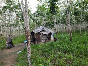 Ketahuan! Pria di Kalteng Curi Ribuan Pakaian Dalam Wanita