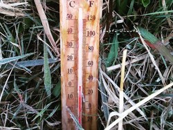 Beku! Suhu di Dieng Turun Jadi 0 Derajat Celsius