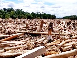 Tim SAR Cari 9 Warga yang Hilang Akibat Banjir di Luwu Utara