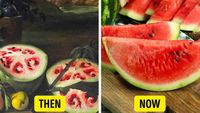 10 Foto Ini Buktikan Terung hingga Semangka Dulu Tak Seperti Sekarang