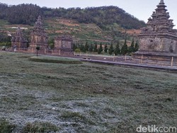 Dieng Membeku Kemarin, Hari Ini Embun Es Menghilang