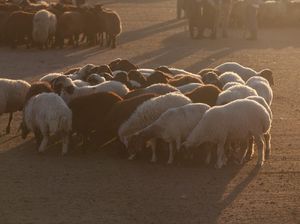 Kisah Nabi Ibrahim dan Ismail Lengkap Tentang Perayaan Idul Adha