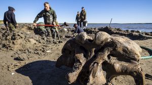 Lihat Yuk Penggalian Kerangka Mammoth