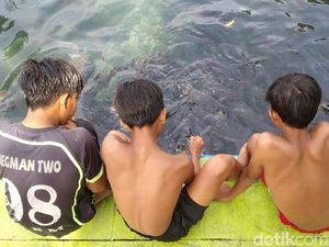 Berenang Bareng Ikan Keramat di Objek Wisata Cibulan Berenang Bareng Ikan Keramat di Objek Wisata Cibulan