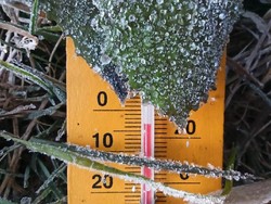 Wisata Dieng saat Kemarau, Sensasi Suhu 0 Celsius dan Embun Es