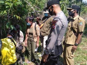 11 Kambing Warga Diduga Dimangsa Harimau, BKSDA Bengkulu Pasang Perangkap