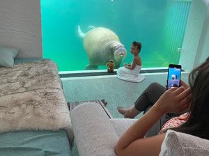 Potret Penginapan di Area Kandang Hewan Potret Penginapan di Area Kandang Hewan