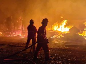 Kebakaran Tempat Pemotongan Kayu di Bogor Hanguskan 3 Mobil