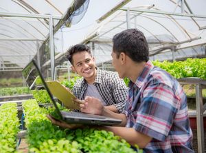 Bisnis Pertanian Menjanjikan Saat COVID-19, Milenial Diminta Ikut Serta