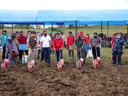 Wagub Sulsel Dorong Pemuda Kembangkan Pertanian