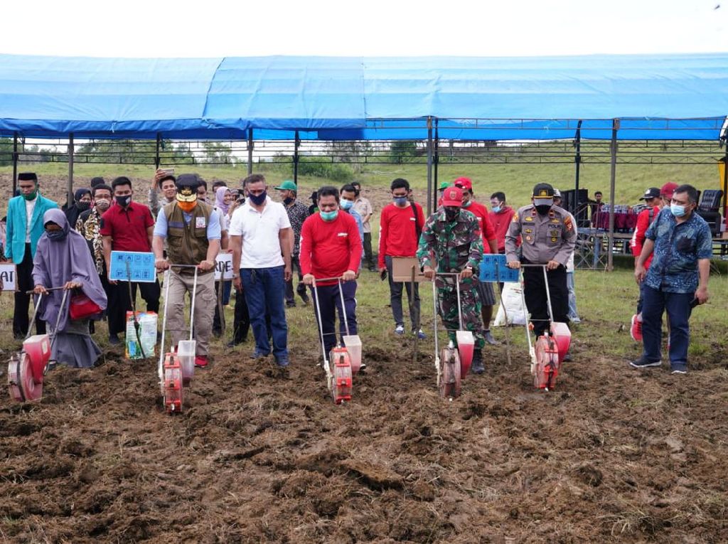 Wagub Sulsel Dorong Pemuda Kembangkan Pertanian Wagub Sulsel Dorong Pemuda Kembangkan Pertanian