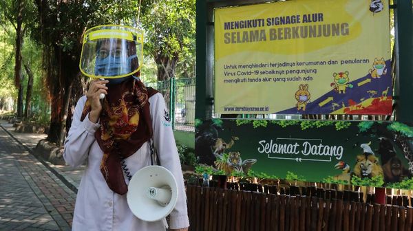 Rek, Kebun Binatang Surabaya Kembali Dibuka Lho