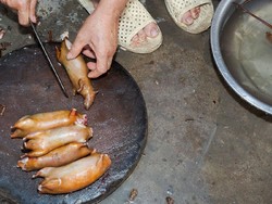 Vietnam Larang Perdagangan Hewan Liar Untuk Cegah Virus Corona