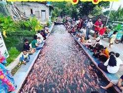 Saluran Irigasi Disulap Jadi Kolam Ikan, Warga Panen Ikan Tiap Hari