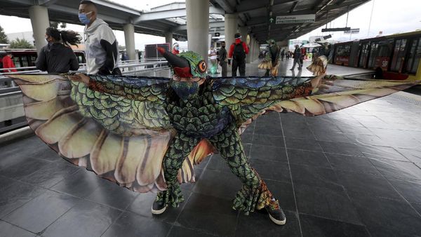 Burung Kolibri Kampanyekan Social Distancing di Kolombia