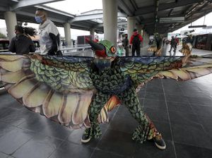 Burung Kolibri Kampanyekan Social Distancing di Kolombia Burung Kolibri Kampanyekan Social Distancing di Kolombia