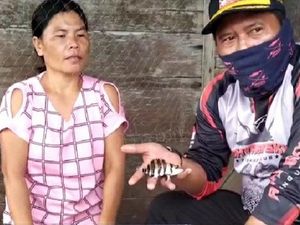 Memburu Cuan dari Ikan Tiger Fish di Sungai Lalan Memburu Cuan dari Ikan Tiger Fish di Sungai Lalan