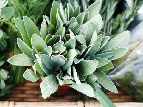 Fresh sage and other herbs on display at a farmer's market.